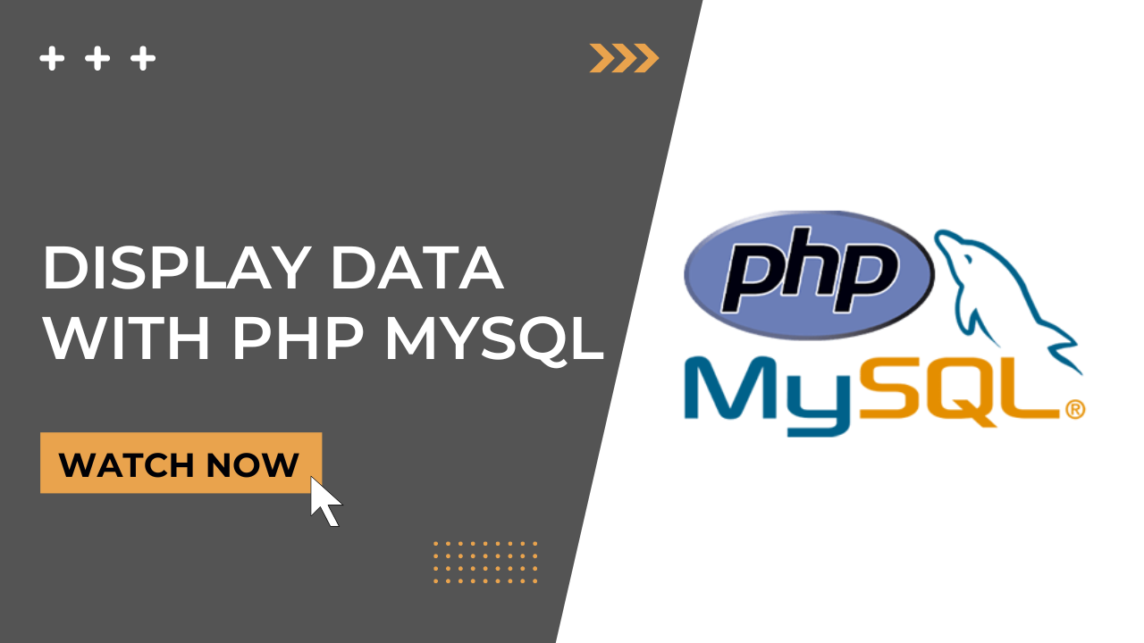 Display Data Using PHP & Mysql Database