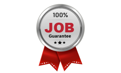 Best Job Guarantee IT Courses